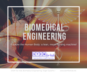 Biomedical Engineering camps and afterschool programs for kids
